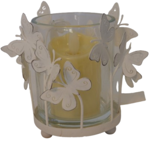 Metal Butterfly Pot with Glass insert (P/SG07)