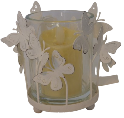 Metal Butterfly Pot with Glass insert (P/SG07)