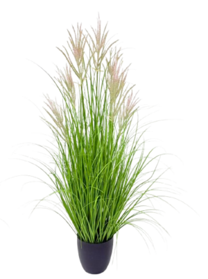 Potted Grass *7 Purple Flowers -120cm (P/FH24)