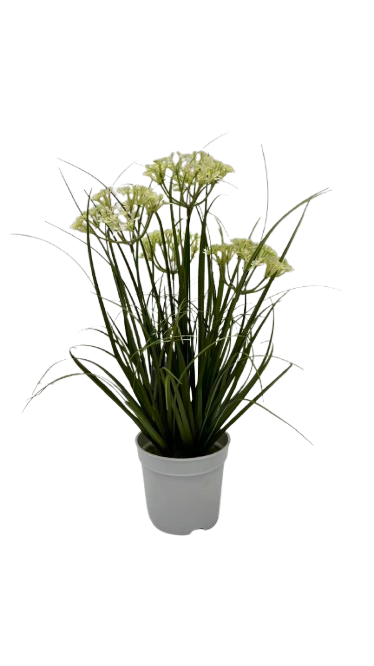 Potted Grass *4 White Flowers - 40cm (P/FH27)