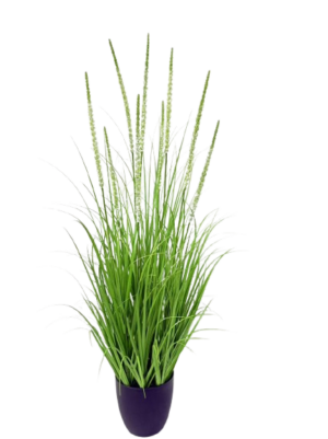 Potted Grass *9 White Flowers - 120cm (P/FH28)