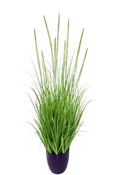 Potted Grass *9 White Flowers - 120cm (P/FH28)
