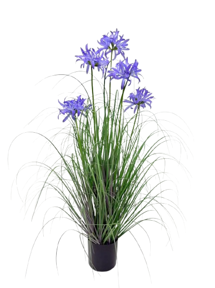 Potted Grass *5 Blue Flowers - 90cm (P/FH32)