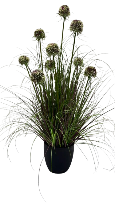 Potted Grass *10 Purple Flowers - 90cm (P/FH33)
